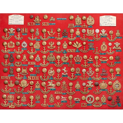 1914-18 WW1 Yeomanry, 175 items of insignia. Board with good display of cap badges, shoulder titles and buttons. Most complete with fixings. Bob Betts Collection