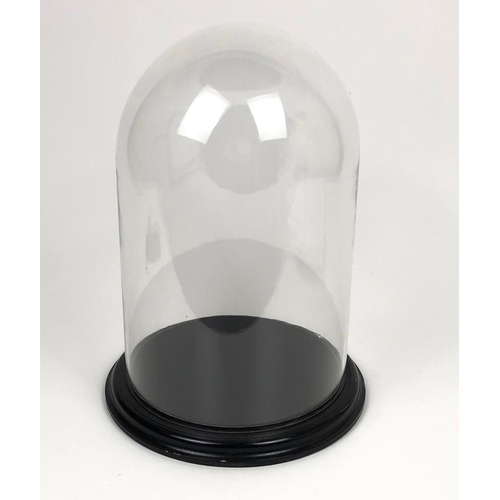 136 - Vintage Glass Display Dome.  A good circular glass antique style dome mounted onto an ebonised wood ... 