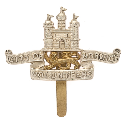 Badge. City of Norwich Volunteers WW1 VTC cap badge.  Good scarce die-stamped white metal castle Castle resting on tri-part title scroll; brass lion between.    Slider.  VGC