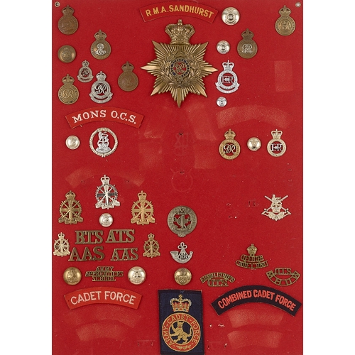 293 - RMS & RMA Sandhurst, Mons cadet badges etc.  Board with good display of approx. 44 metal and cloth i... 