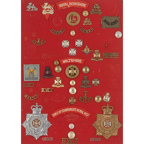 299 - Royal Berkshire, Wiltshire and Duke of Edinburgh's badges, shoulder titles etc.  Board with good dis... 