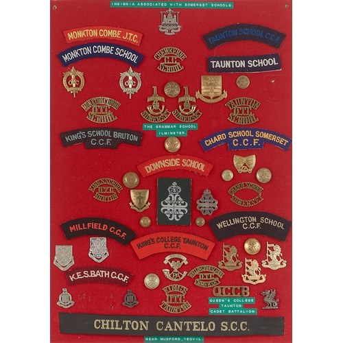 304 - Somerset OTC and Cadet badges, shoulder titles etc.  Board with good display of approx. 49 metal ins... 