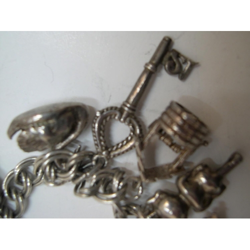 117 - Silver charm bracelet with 11 charms, 30 grams

Approx 30 grams