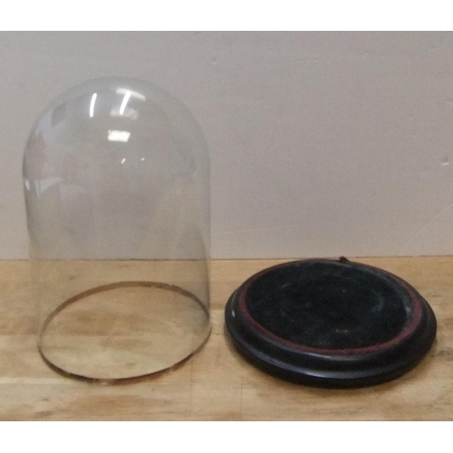 181 - Victorian glass dome with ebonised wooden plinth

36cm high x 25cm wide