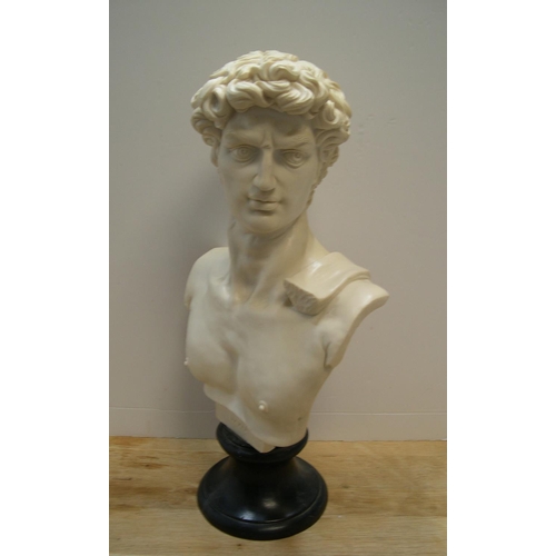 230 - Large, 20thC, classical looking bust of David

54 cm high