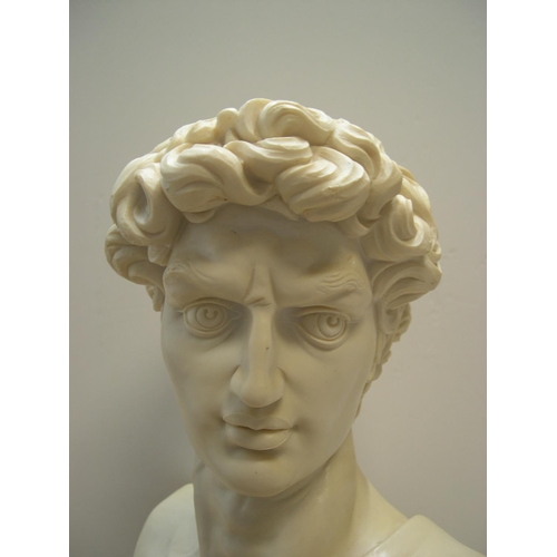 230 - Large, 20thC, classical looking bust of David

54 cm high