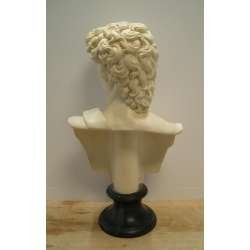 230 - Large, 20thC, classical looking bust of David

54 cm high