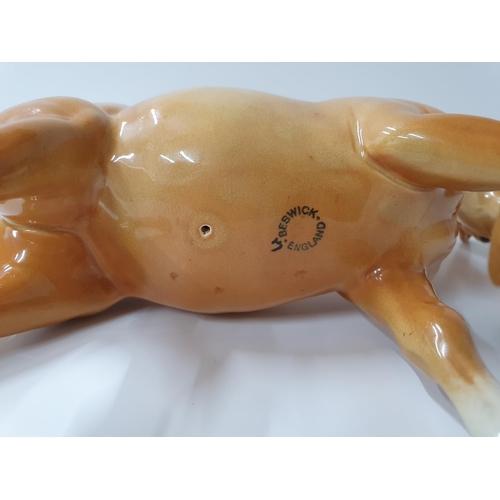 58 - Beswick tan & white palamino horse,

23 cm long

Very good condition