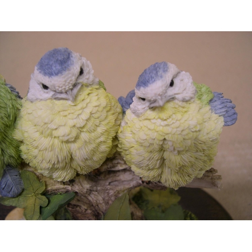 20 - 3 baby bluetits, country artists, hand-painted by Tim Smith, compete with certificate,

15 cm across... 