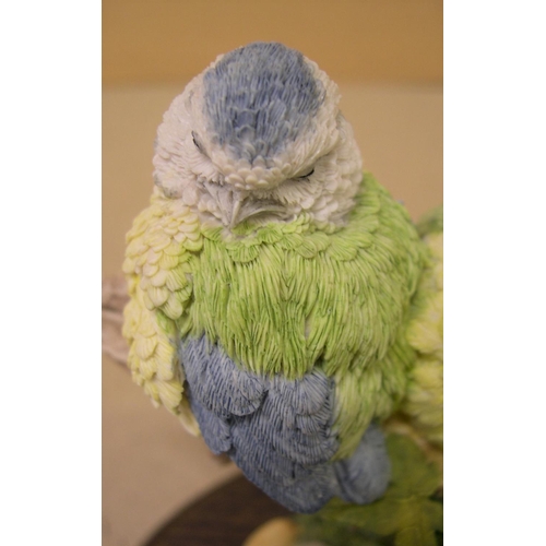 20 - 3 baby bluetits, country artists, hand-painted by Tim Smith, compete with certificate,

15 cm across... 