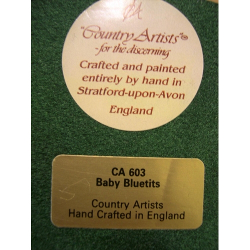 20 - 3 baby bluetits, country artists, hand-painted by Tim Smith, compete with certificate,

15 cm across... 