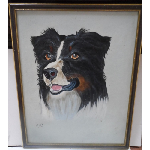 134 - Oil painting of board of the head of a Collie dog, initialled M.J.G, framed,

50 x 40 cm