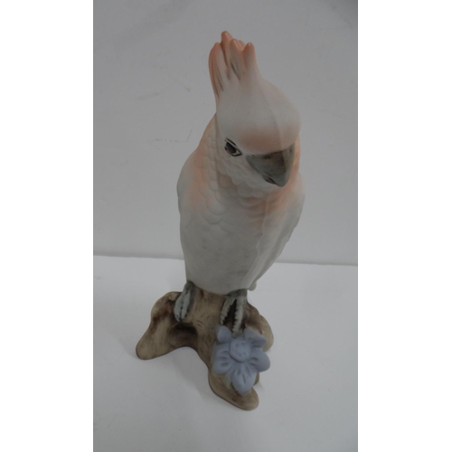 159 - A Royal Dux white porcelain parrot perched on a branch, 20cm high,

Appears in good condition