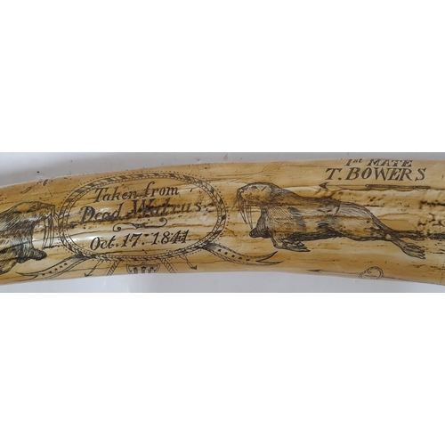 29 - Large replica resin scrimshaw, 56 cm long