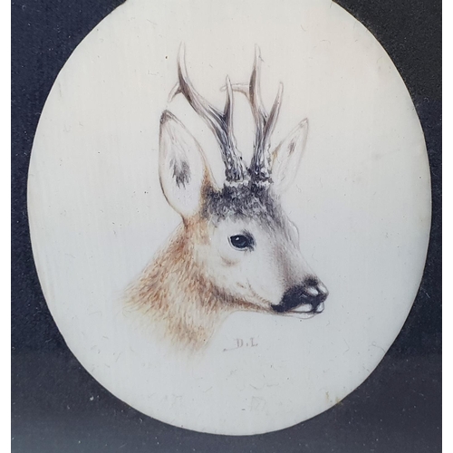 57 - Victorian miniature oval watercolour portrait of a Stags head, initialled D.L, in fine wood frame,

... 