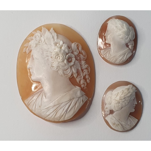 453 - Finely carved large Victorian oval cameo depicting a young lady with flowers in her hair together wi... 