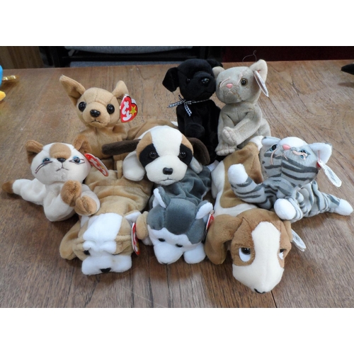 Lot 295       