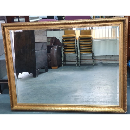 Lot 255       