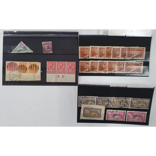 Lot 253       