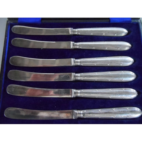 30 - Cased set of 1905 Fattorini, Sheffield silver handled butter knives