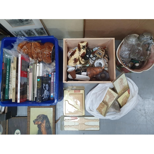 133B - Collection of miscellaneous items including prints and books, (Qty)