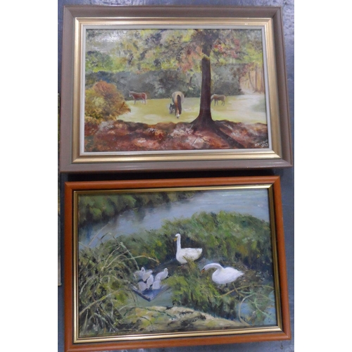 709 - Three, M Holland 1990s, oil on board animal paintings, two framed (3)