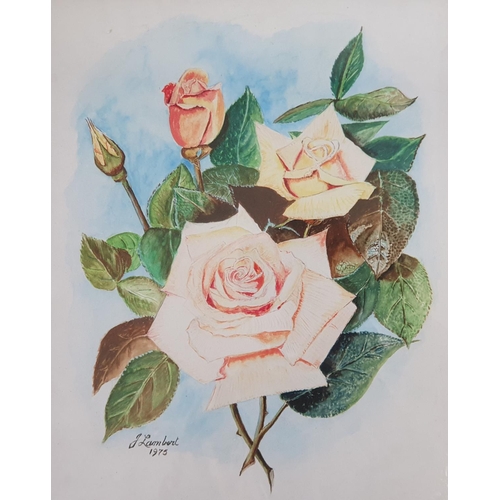 727 - Four unsigned floral watercolours, one signed J. Lambert, 1975, (4) 

29 x 24cm,