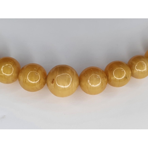 55 - Edwardian ladies butterscotch Amber necklace,

85 grams gross           approx 40 cm long