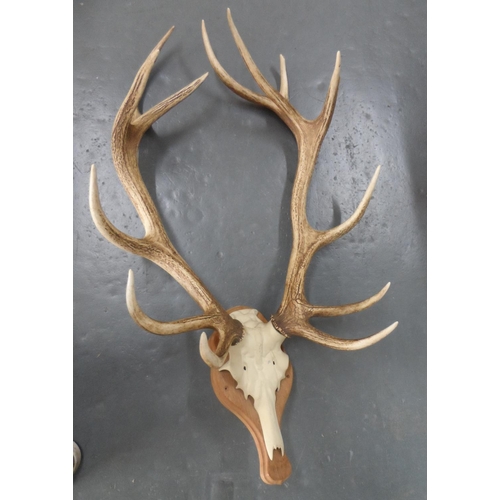 Lot 123       