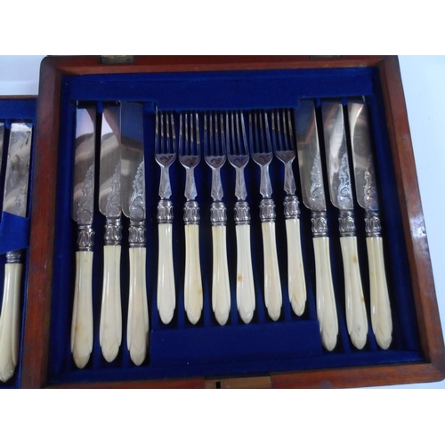 191 - Superb antique small Mahogany cased set of 12 bone handled knives & forks