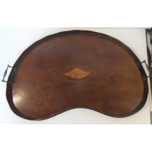 46 - Edwardian kidney shaped serving tray with brass handles