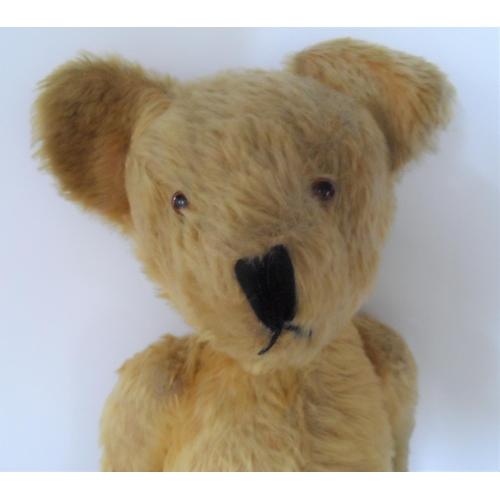 82 - Edwardian teddy bear, no makers marks