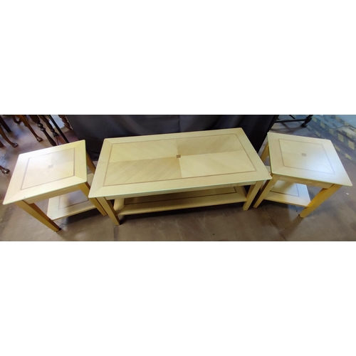 920 - A modern coffee table together with two matching side tables (3)