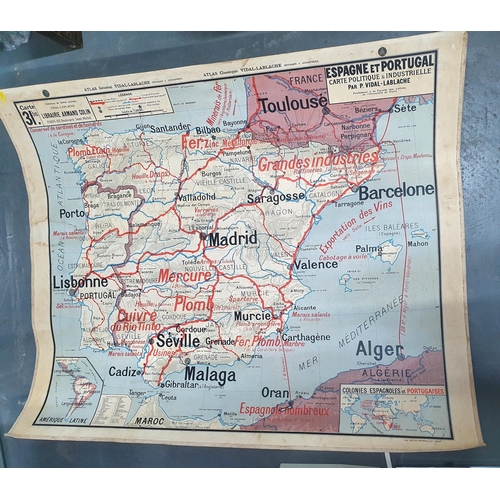 295 - Large, vintage, French double-sided hanging school wall map 