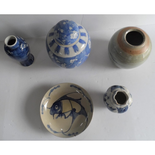 424 - Good collection of 19th and 20thC Oriental ceramic vases and plate (Qty)