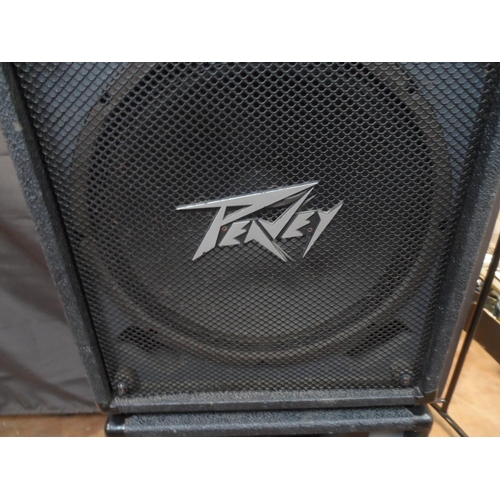 312 - A pair of Peavey PA speakers with side carry handles and metal pole inserts