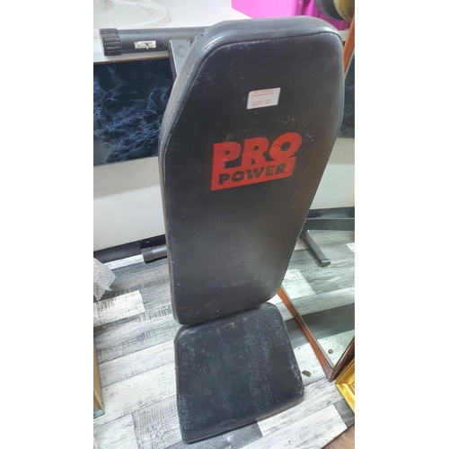 33 - Pro Power weight seat