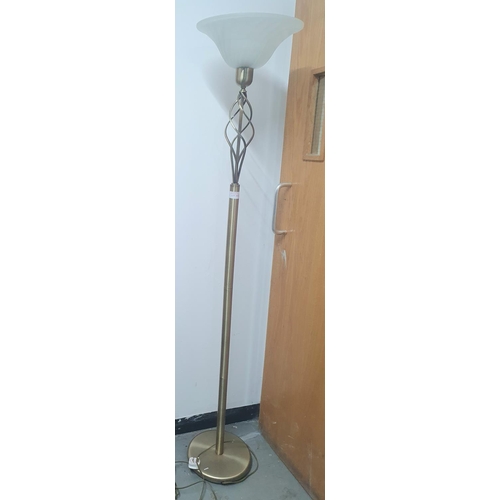 388 - Modern free-standing, metal standing lamp