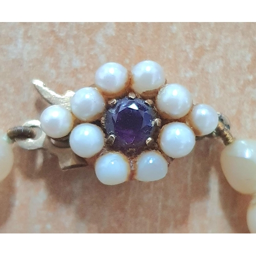 95 - Early 20thC Pearl choker with 9ct gold backed clasp, the front containing a round cut Sapphire surro... 