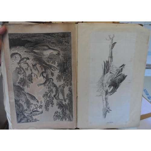 221 - Early/mid 19thC album full of old master pen & pencil drawings and prints of animals & birds (Qty)