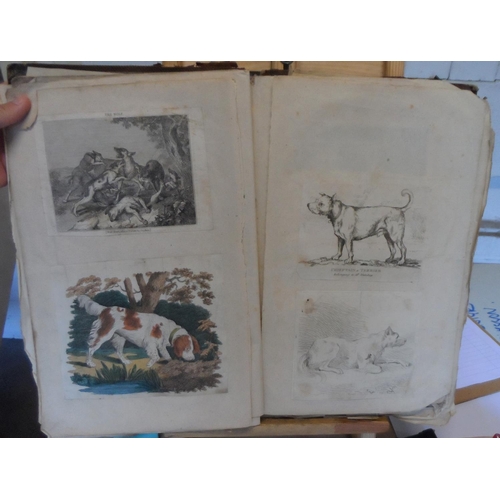 221 - Early/mid 19thC album full of old master pen & pencil drawings and prints of animals & birds (Qty)