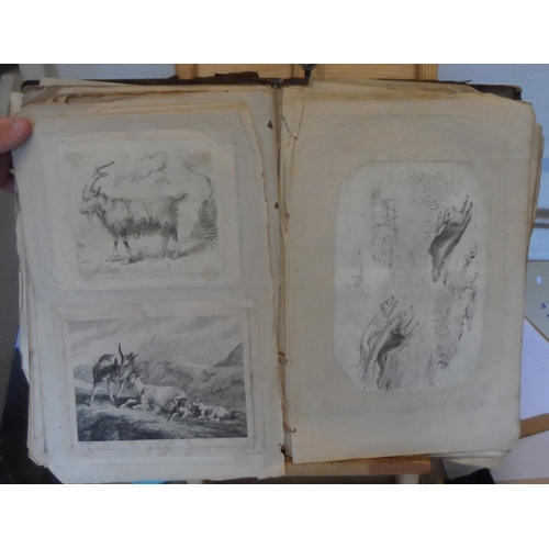 221 - Early/mid 19thC album full of old master pen & pencil drawings and prints of animals & birds (Qty)