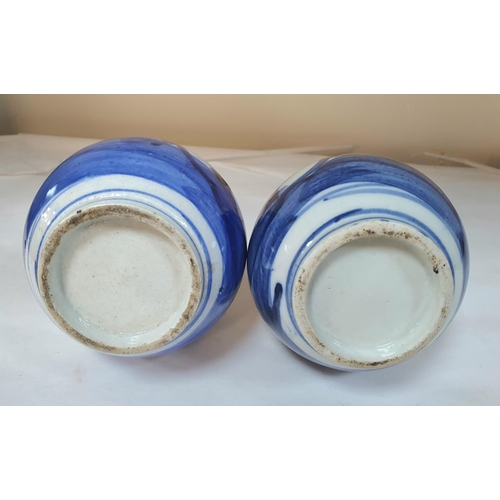 300 - A pair of Chinese blue and white bottle vases with floral decoration (2),

20 cm tall