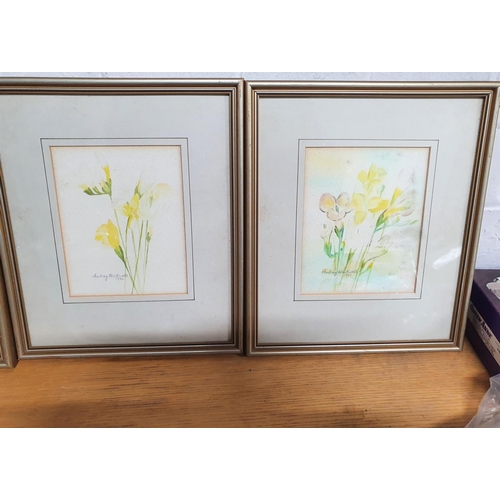 1341 - Collection of 3 framed floral watercolours (3)