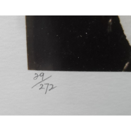 66 - Limited edition (29/272) silver gelatin print with blind stamp of Sitting Elk - Crow after Edward S.... 