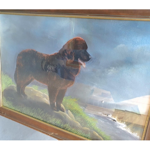 422 - Two large Anne Nield 1980s pastel dog studies (2)

Both framed