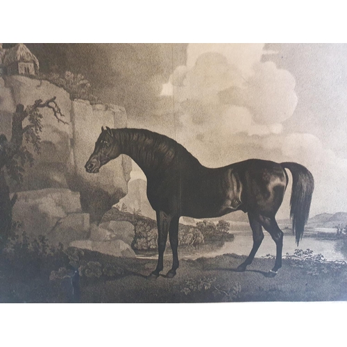 464 - Antique 19thC print of Marske by George Stubbs, unframed