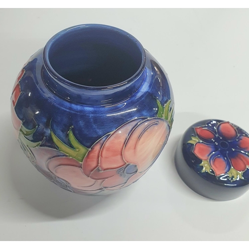 95 - Modern Moorcroft Anemone pattern ginger jar,

15 cm tall