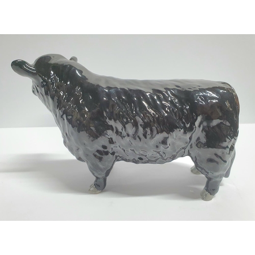 93 - Beswick, Black Galloway bull,

 approx 19cm long by 12cm tall