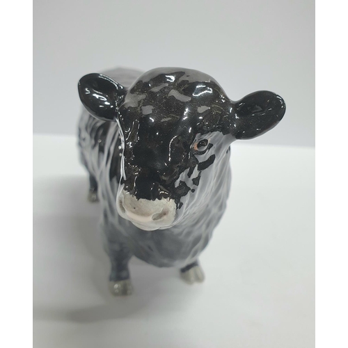 93 - Beswick, Black Galloway bull,

 approx 19cm long by 12cm tall